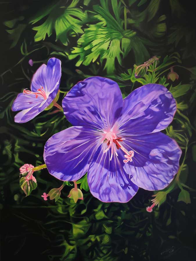 Meadow Cranesbill Flower Oil Painting Completed By Artist Harshpreet-Kaur