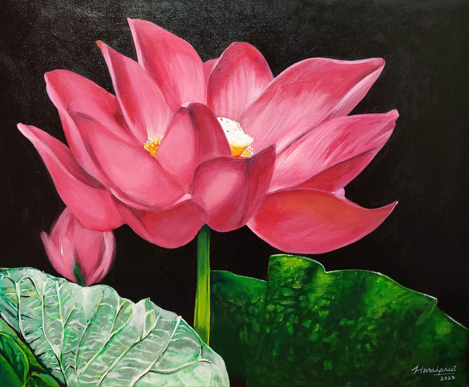 Lotus-flower-acrylic-painting-cropped.jpg