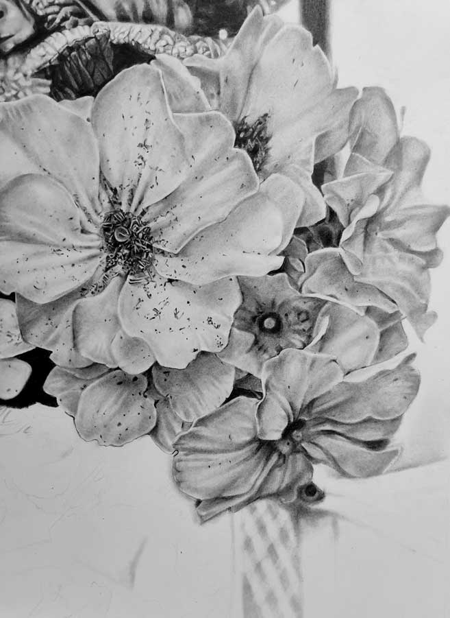 Graphite-Drawing-of-Primrose-Bunch-Flowers-Graphite-Paper-in-progress.jpg