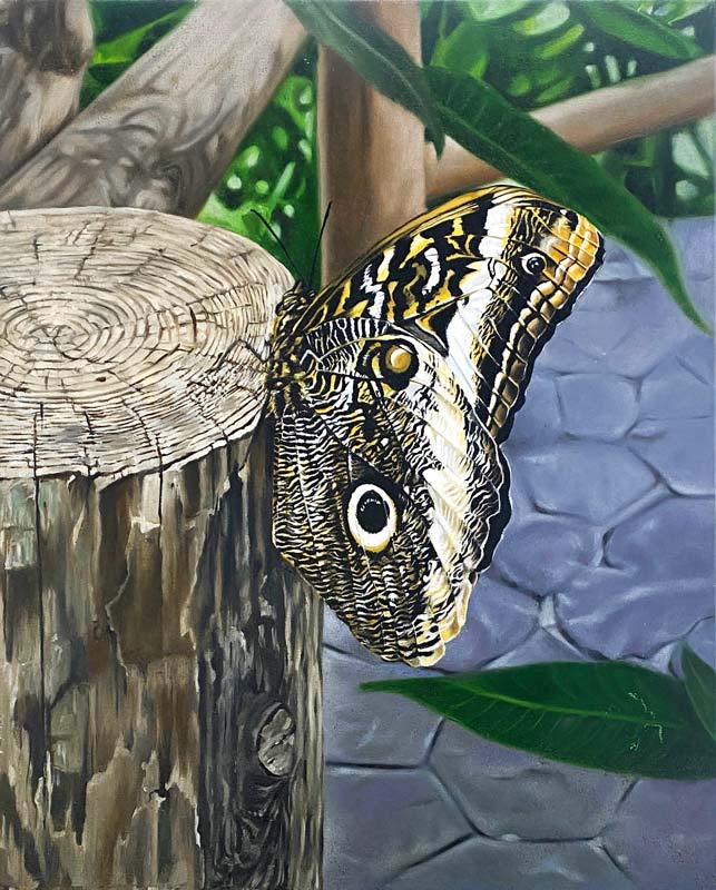 caligo-butterfly-painting-artist-harshpreet-kaur-completed-vancouver-bc.jpg