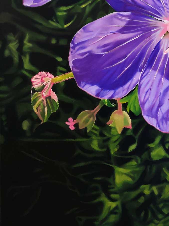 Extremely Detailed Meadow Cranesbill Flower Oil Painting Completed By Artist Harshpreet Kaur Close Up