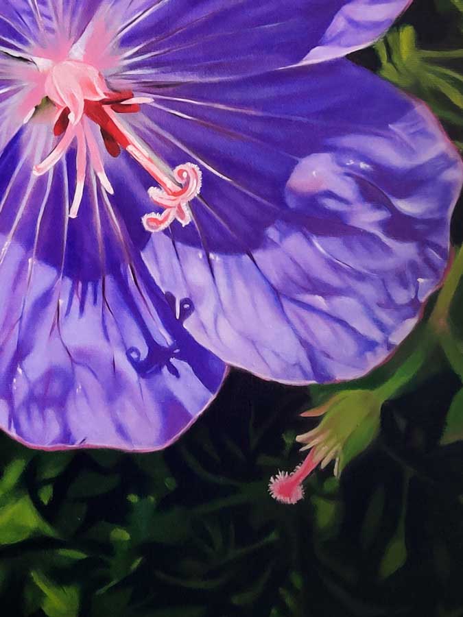 Hyper realistic Flower Painting By Harshpreet Kaur Meadow Cranesbill Flower Oil Painting