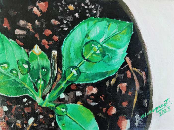 Lemon-leaf-study-plant-study-Acrylic-Painting-nature-study-Artist-Harshpreet.jpg
