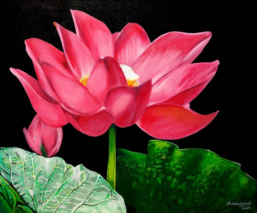Lotus-20x16-Artist-Harshpreet-Kaur-Botanical-Flowers-Acrylic-Painting.jpg